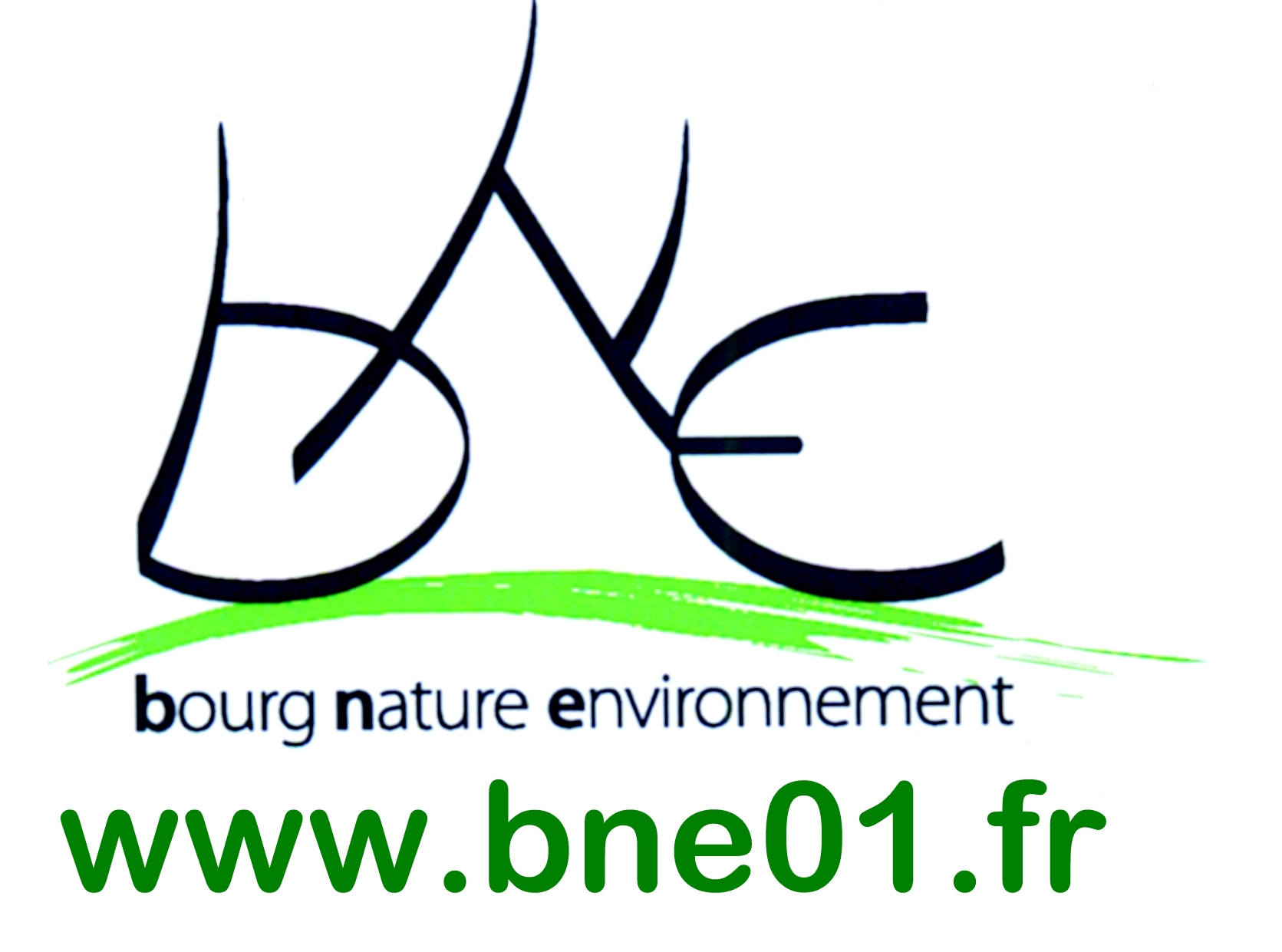 a-logo-site-BNE-.jpg