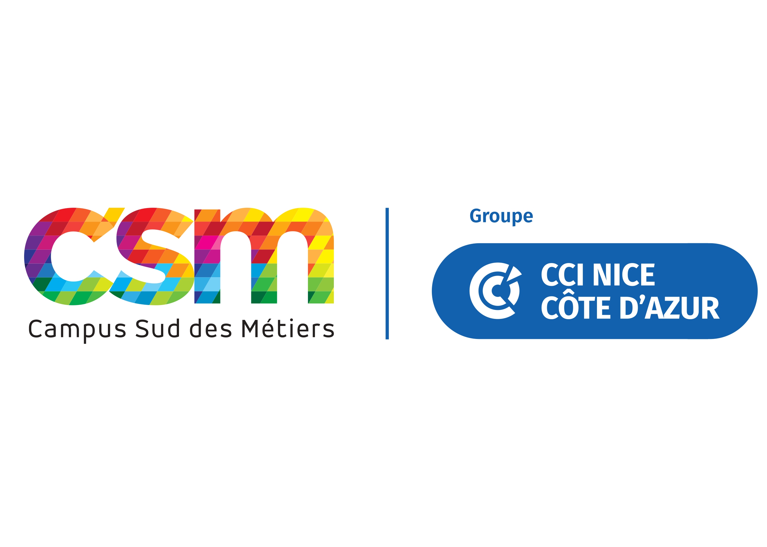 Logo-CSMCCI_page-0001.jpg
