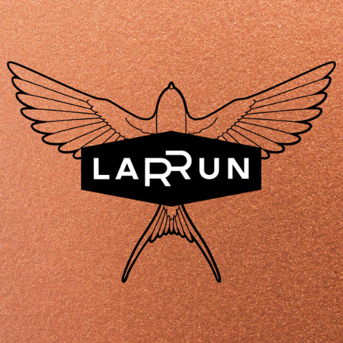 logo-Larrun-2.png
